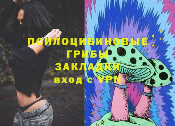 прущий лед Алзамай